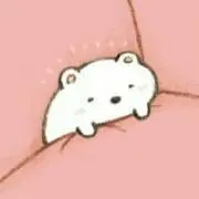 みーこ　※購入前にコメントください。の画像