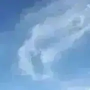 Ｙちゃんの画像