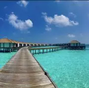 Sunnyの画像