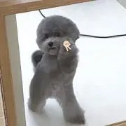 ^_^の画像