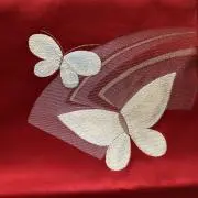 【揚羽】初夏の着物ありますの画像