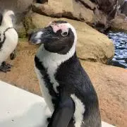 みと