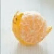 かたつむりの画像