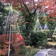 kooの画像