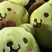 Pom pom