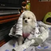 なおの画像