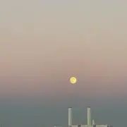 くぎゅうか