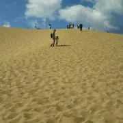 ザッハくんの画像