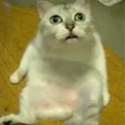 断捨離したいの画像