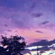 あおの画像