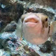 むの画像