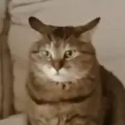 みくずんの画像