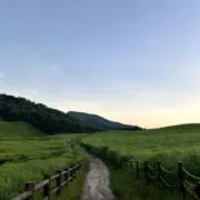 V (プロフィール必読）の画像