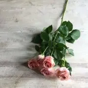 Uranの画像