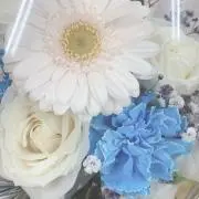 ベス*の画像
