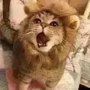 なぎさの画像