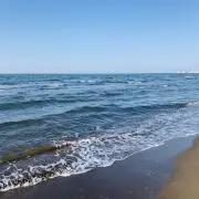 まーの画像