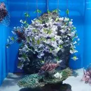 悠馬の画像