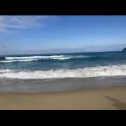 NAMIの画像