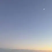 ちゆの画像