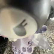 *ㅎㅅㅎ*の画像