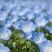 まーさんの画像