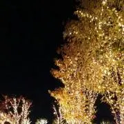 TOWY♪プロフ読んで下さい♪の画像