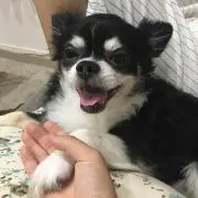 ちーなっつ