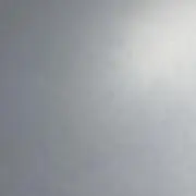 わわわ（発送遅れます）の画像