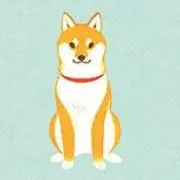 みやこ