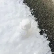 ひめの画像