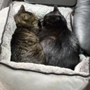 N's工房　全て1点限り即購入ＯＫ^_^の画像