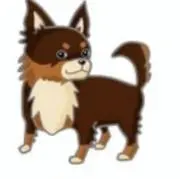 ayou
