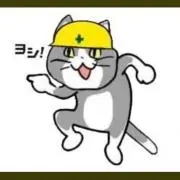 現場ネコ