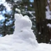 ビカリアの画像
