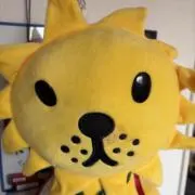 ポンデLION