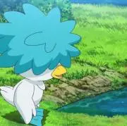 ちろっちょの画像