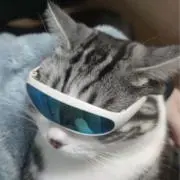 てたぴょんの画像