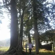 清貧道の画像
