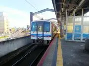 ぴぴたの画像