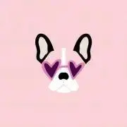 K♠の画像