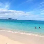sayaの画像