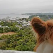 あき
