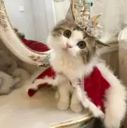 Marie