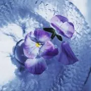 青の画像