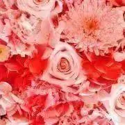 coloré＊ハンドメイドアクセサリー＊の画像