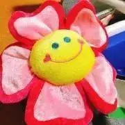 みんみんの画像