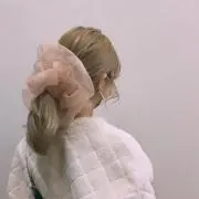 こちゃの画像