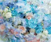 ✶Peony✶の画像