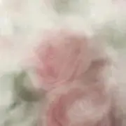 feeの画像